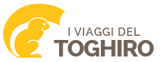I Viaggi del Toghiro logo